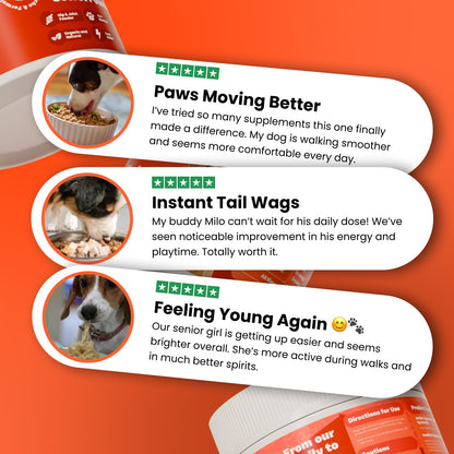 The Paw Parent | Hip & Joint Powder