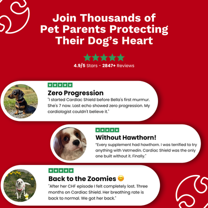 The Paw Parent | Cardiac Shield Powder