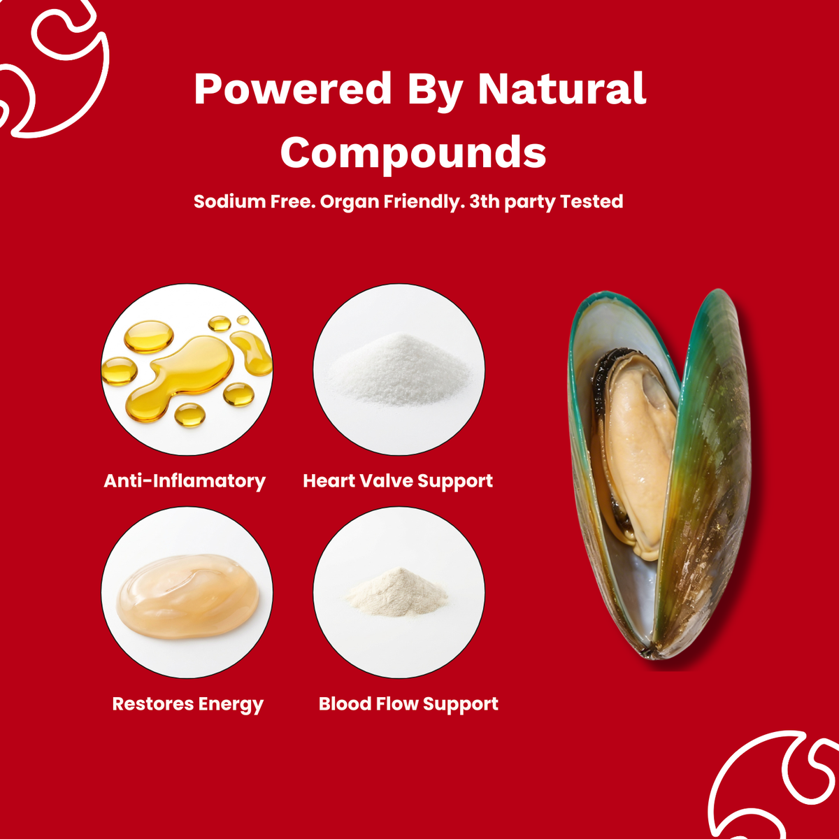 The Paw Parent | Cardiac Shield Powder