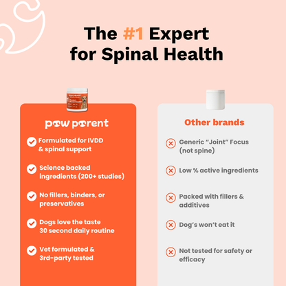 The Paw Parent | Spine & Disc Powder
