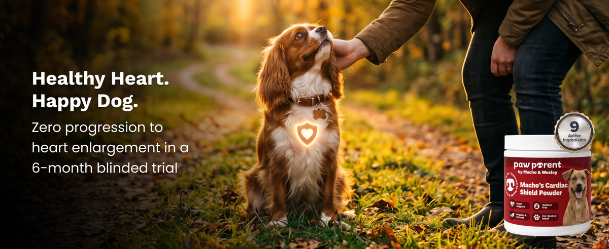 Dog Heart Health
