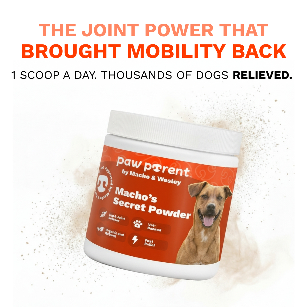 The Paw Parent | Hip & Joint Powder