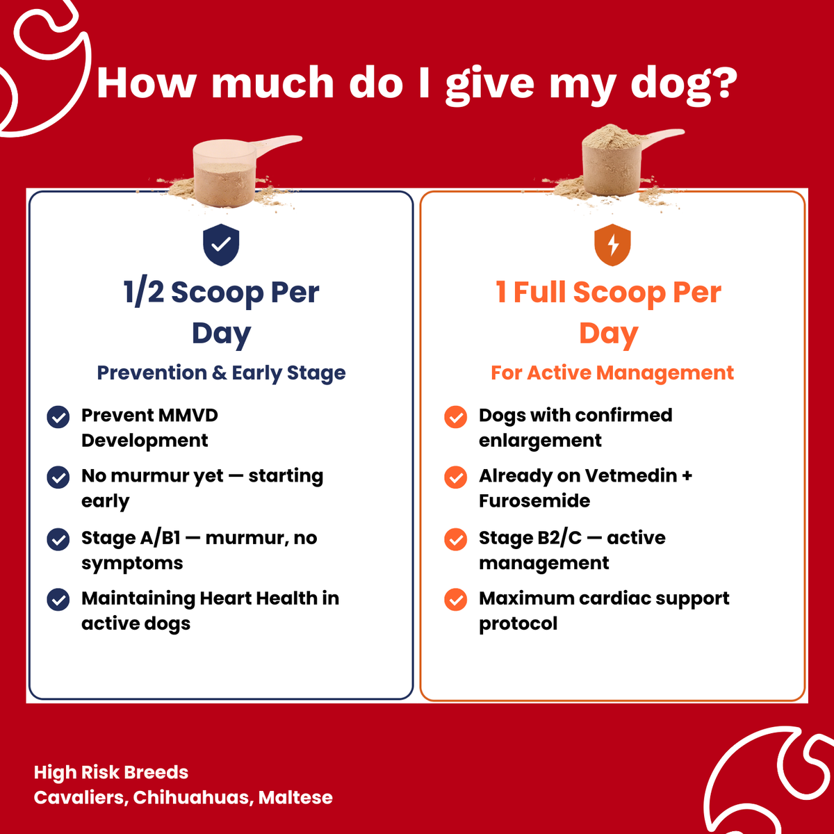 The Paw Parent | Cardiac Shield Powder