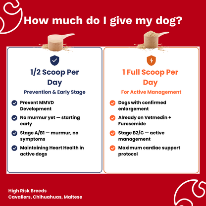 The Paw Parent | Cardiac Shield Powder