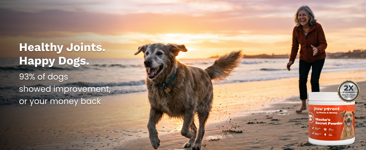 Healthy Joints Happy Dogs